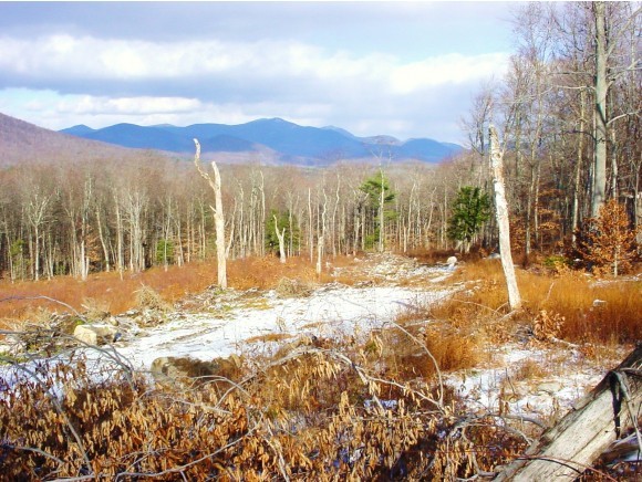 46 Dale Road Sandwich, NH 03227 - Photo 9 of 10