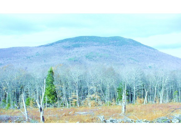 46 Dale Road Sandwich, NH 03227 - Photo 10 of 10