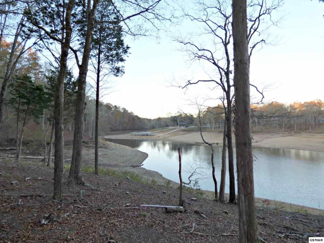 125 Ridge Point Trail Dandridge, TN 37725 - Photo 11 of 17 Gallery Image 11