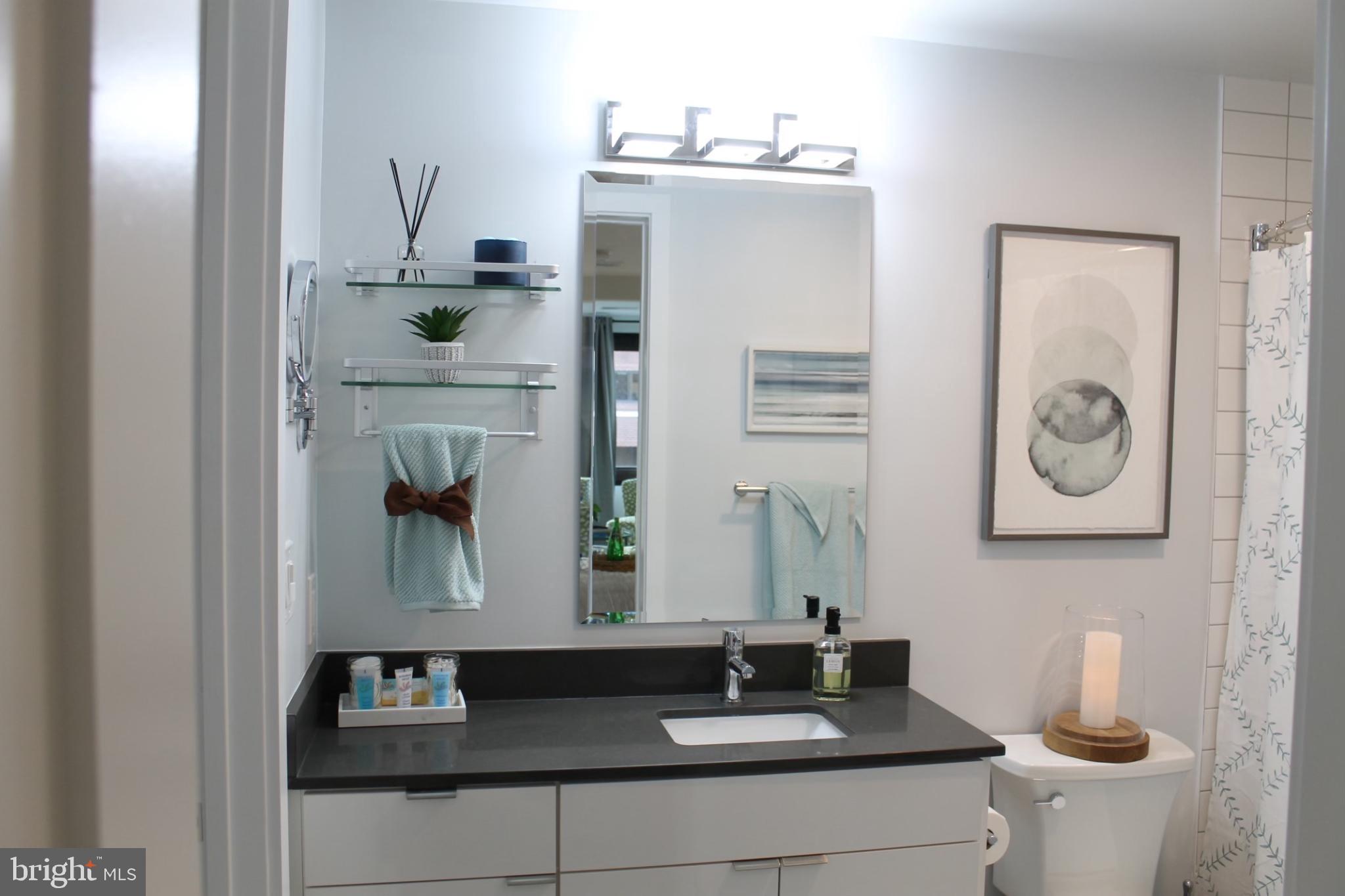 700 Roeder Road, Unit 405 Silver Spring, MD 20910 - Photo 17 of 18 a bathroom with a sink and a mirror