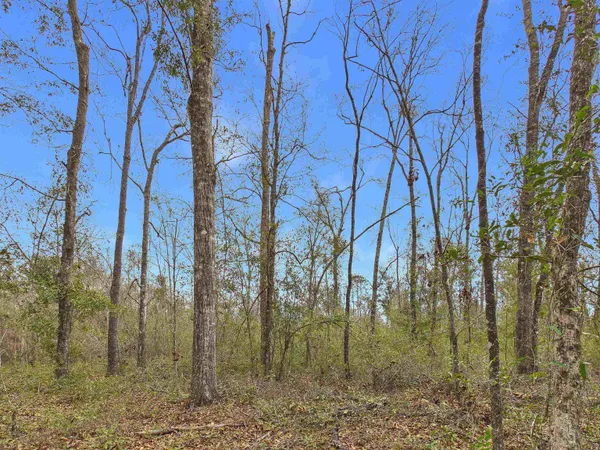 $28,500 | Vacant Northeast Vacant Ne Bush Way, Madison, FL 32340