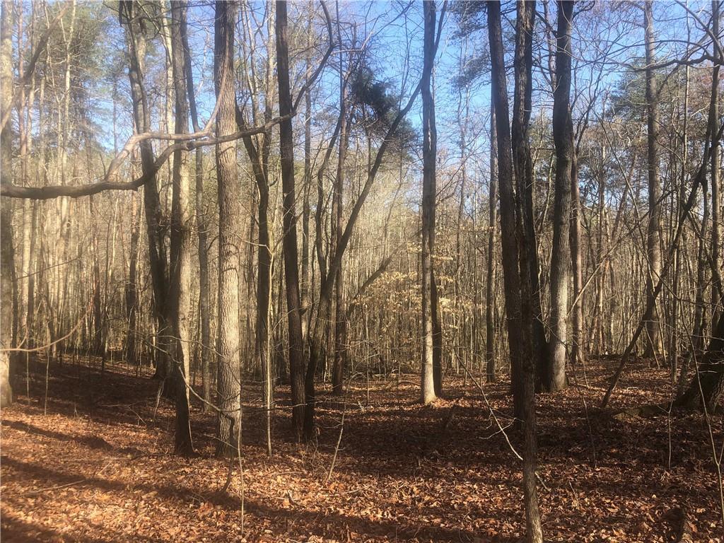 0 Bethany Road Jasper, GA 30143 - Photo 1 of 1 Gallery Image 1