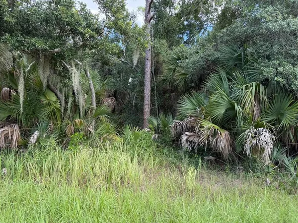 $21,900 | 15020 Elwood Avenue, Port Charlotte, FL 33953
