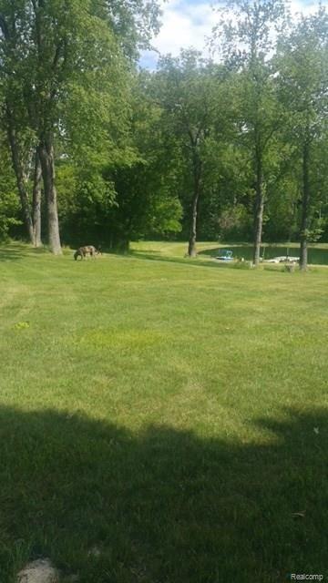 1674 East Romeo Road Oakland, MI 48363 - Photo 48 of 53 Summer time!