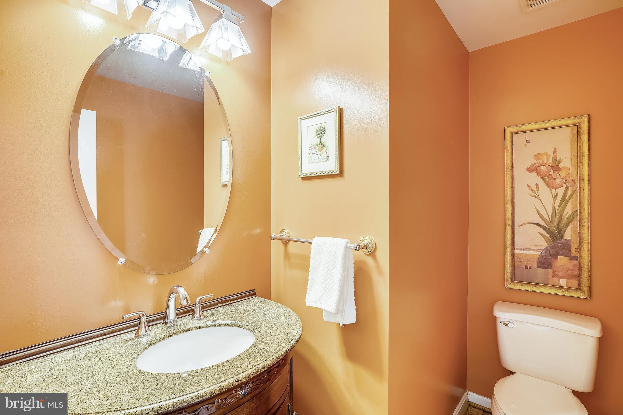 23907 Old Hundred Road Dickerson, MD 20842 - Photo 21 of 126 UPGRADED Main Level Powder Room