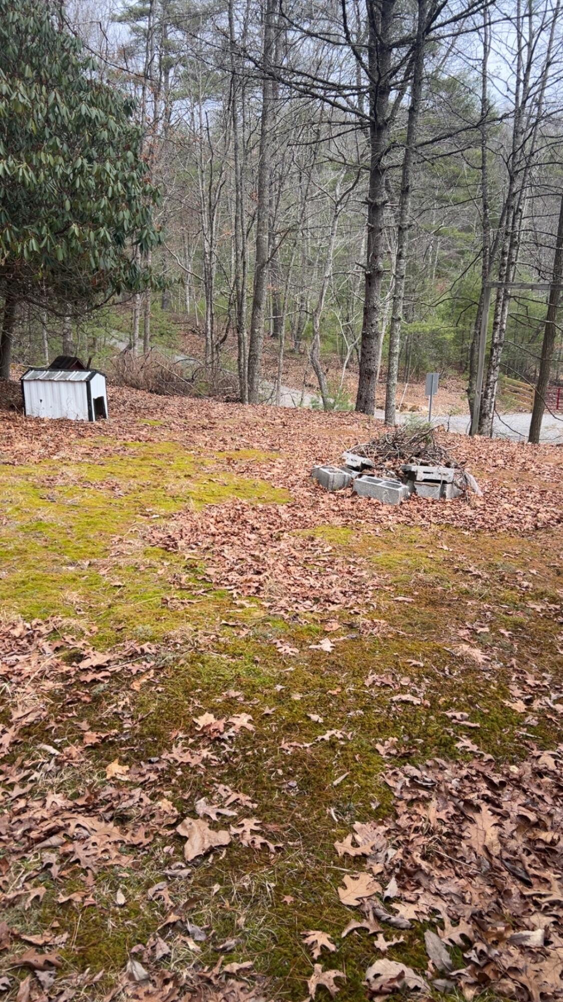1649 Sunset Road Marlinton, WV 24954 - Photo 14 of 23 Gallery Image 14