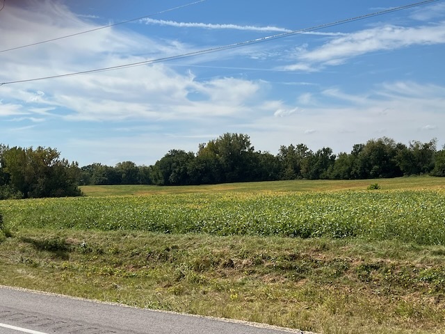 0 Wells Ferry Road Pleasant Valley, IA 52767 - Photo 4 of 5