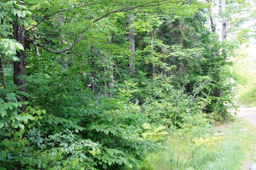 0 Bennett Pond Road Parkman, ME 04443 - Photo 12 of 12 Photo