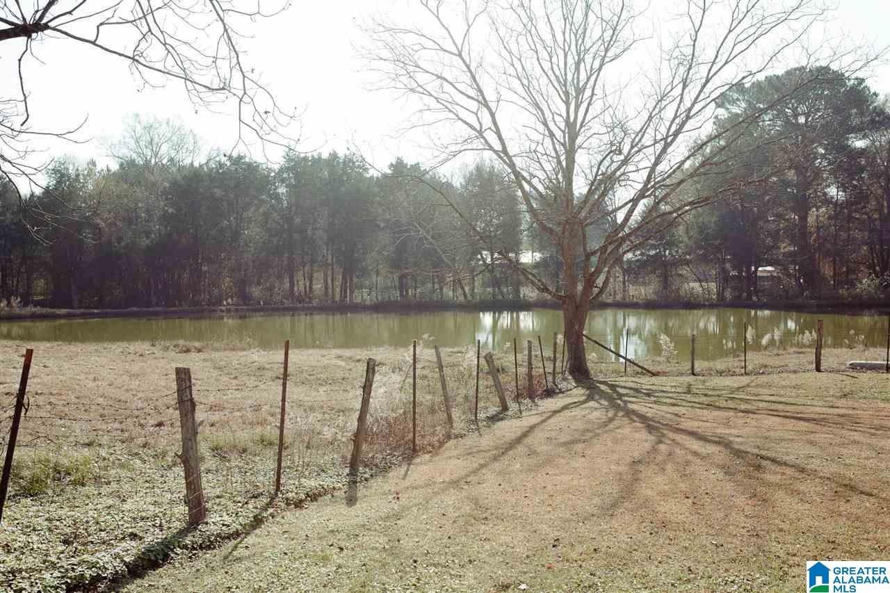 2084 State Farm Road Alexandria, AL 36250 - Photo 4 of 34 Gallery Image 4