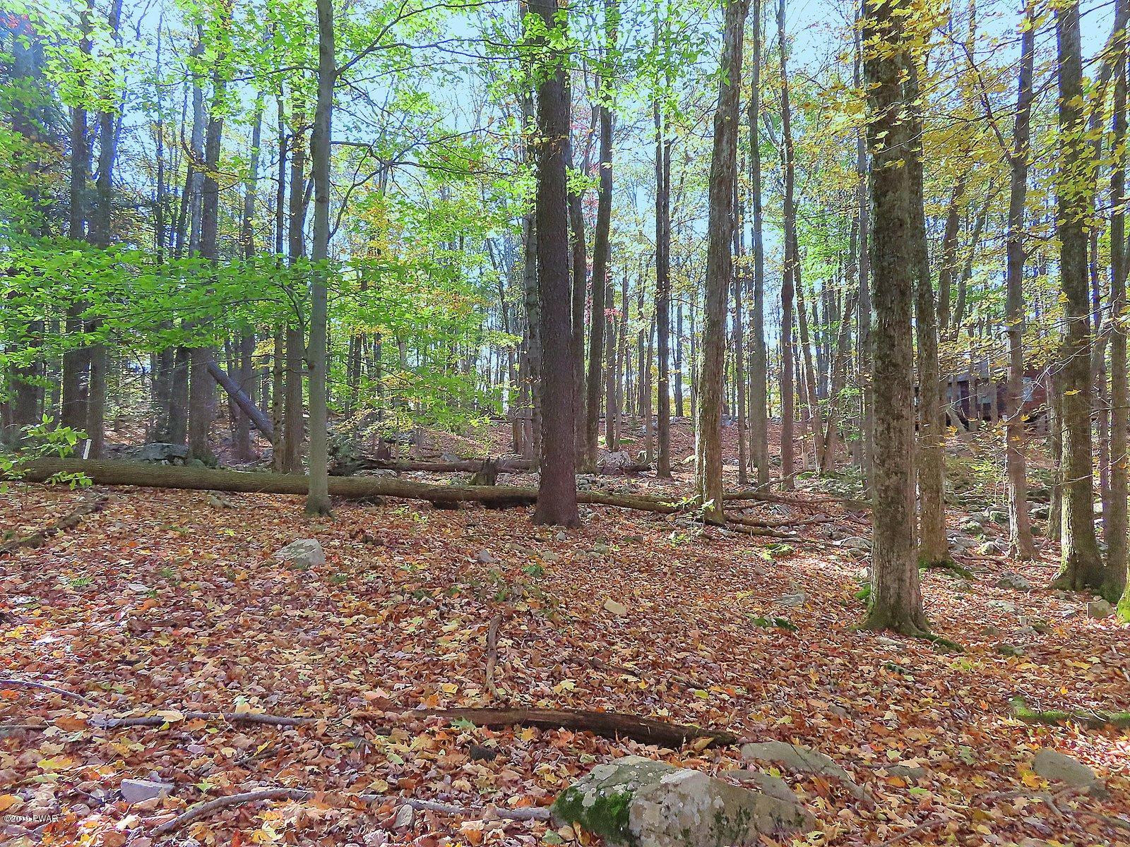 394 North Shore Road Greentown, PA 18426 - Photo 37 of 37