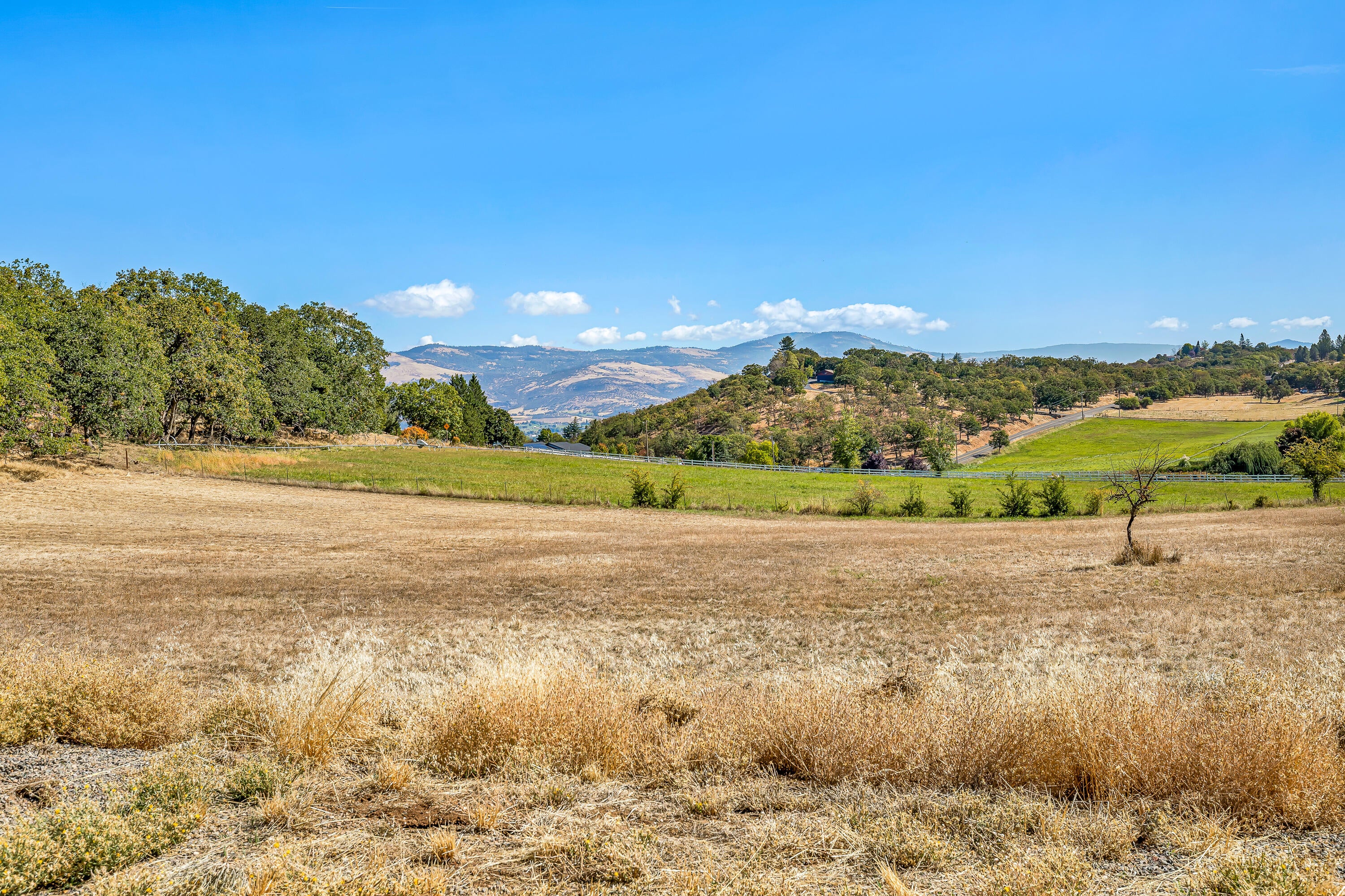 4851 Pioneer Road Medford, OR 97501 - Photo 14 of 26 9R9A3363