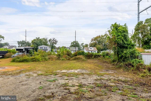 a view of a yard with an trees