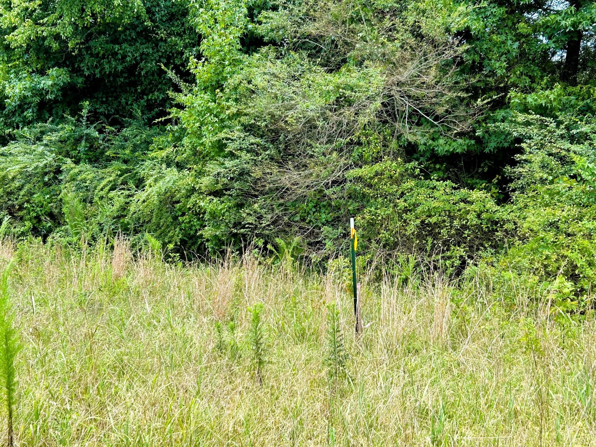 5 Euchee Road Ten Mile, TN 37880 - Photo 13 of 32
