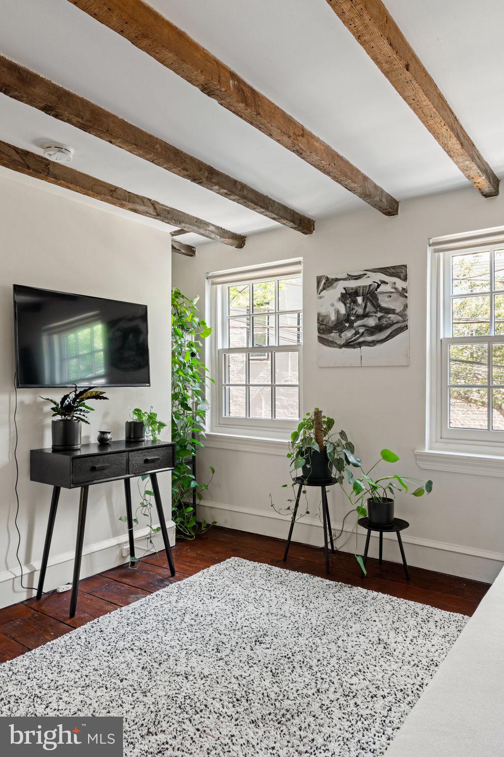 142 Carpenter Street Philadelphia, PA 19147 - Photo 34 of 49 a living room with furniture and a flat screen tv