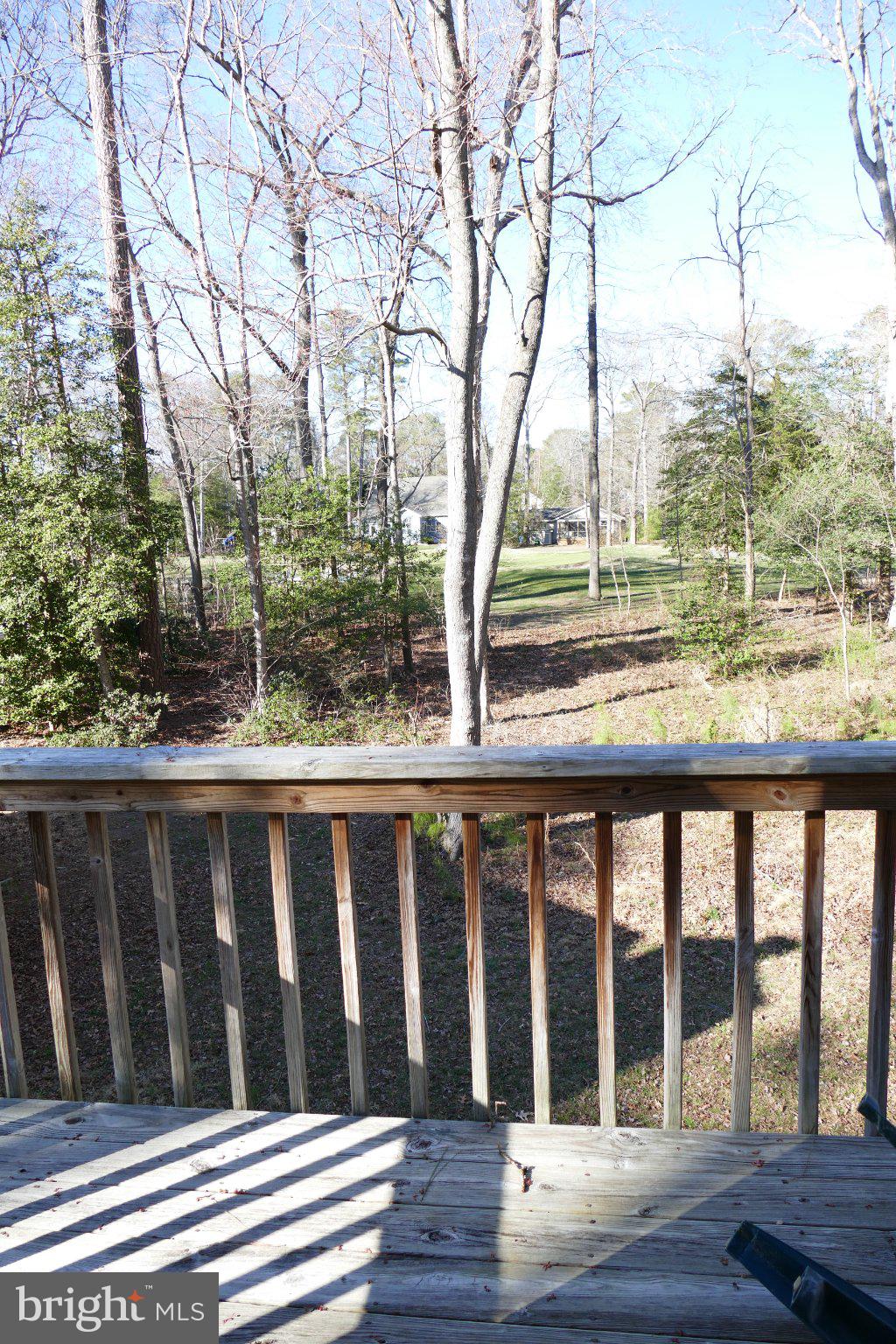 185 Windjammer Road Ocean Pines, MD 21811 - Photo 12 of 18 Serene woodland view from the deck.