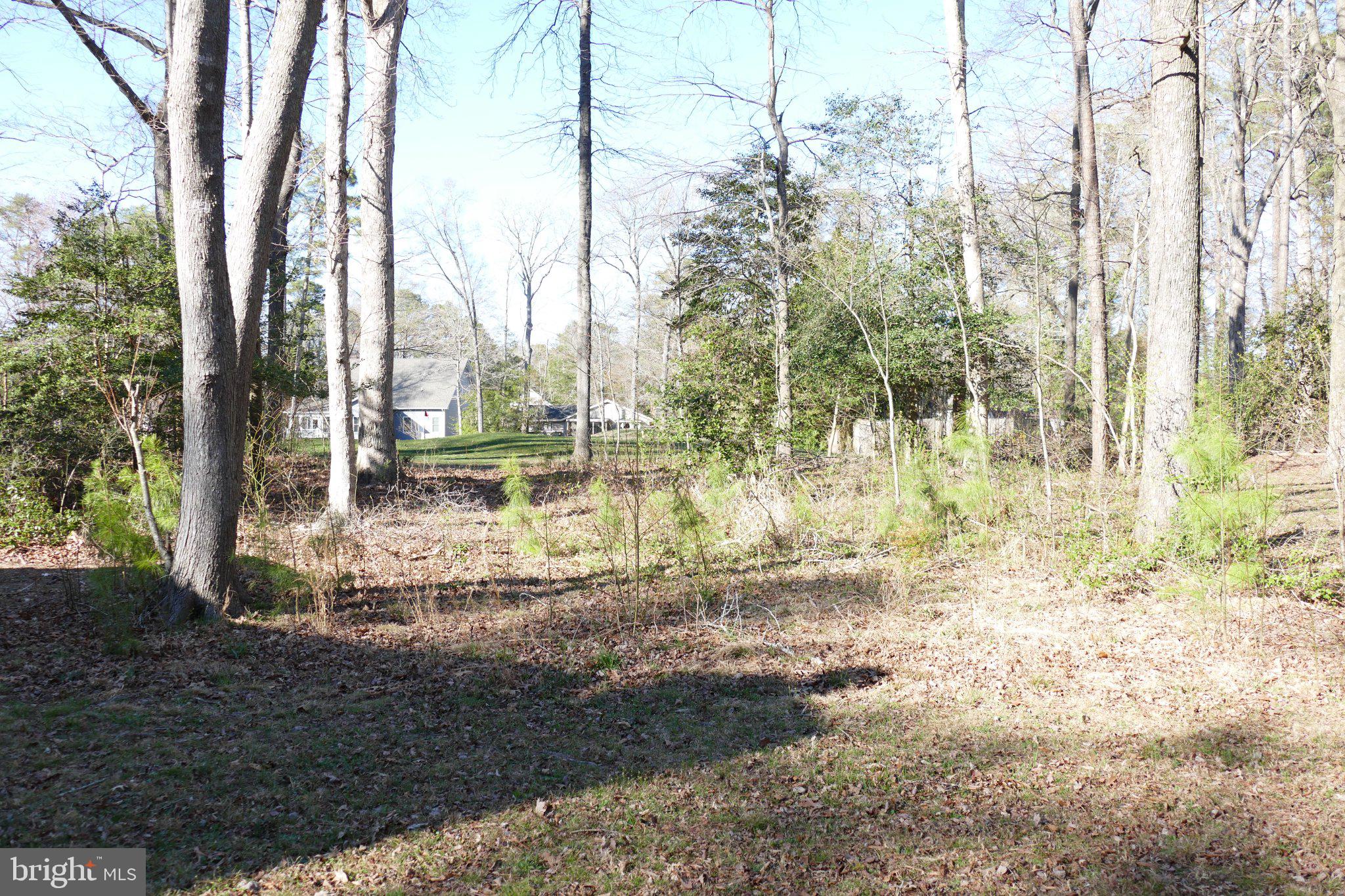 185 Windjammer Road Ocean Pines, MD 21811 - Photo 18 of 18 Serene wooded retreat awaits discovery.