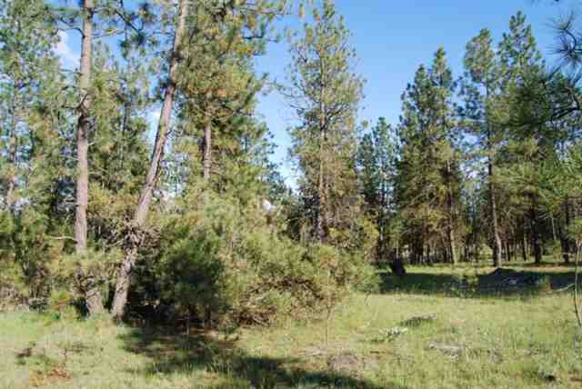 26002 West Tucker Prairie Road Cheney, WA 99004 - Photo 1 of 9