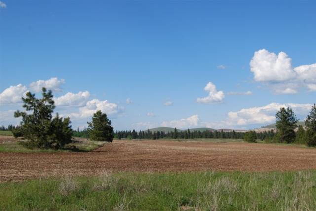 26002 West Tucker Prairie Road Cheney, WA 99004 - Photo 2 of 9