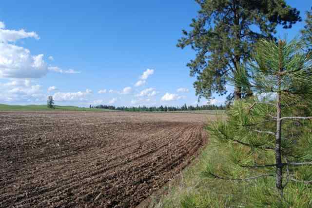 26002 West Tucker Prairie Road Cheney, WA 99004 - Photo 3 of 9