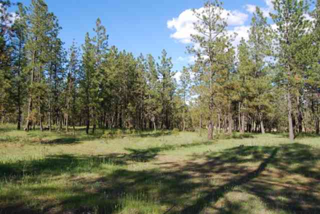 26002 West Tucker Prairie Road Cheney, WA 99004 - Photo 4 of 9