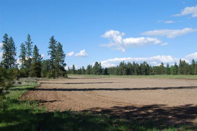 26002 West Tucker Prairie Road Cheney, WA 99004 - Photo 5 of 9