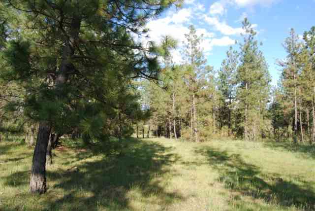 26002 West Tucker Prairie Road Cheney, WA 99004 - Photo 6 of 9