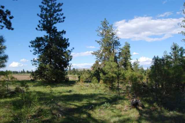 26002 West Tucker Prairie Road Cheney, WA 99004 - Photo 7 of 9