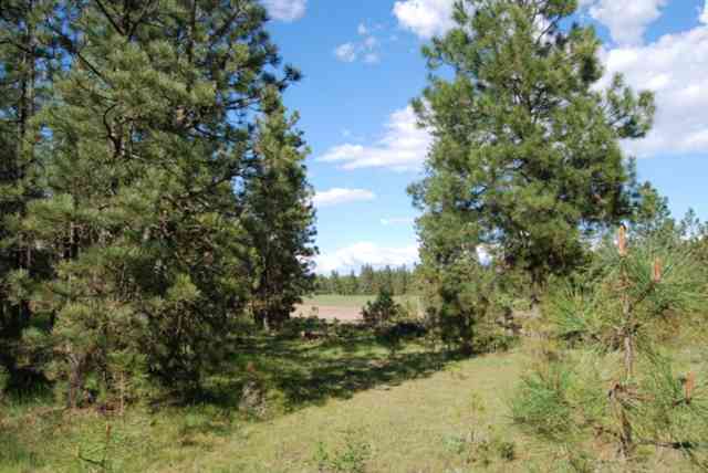 26002 West Tucker Prairie Road Cheney, WA 99004 - Photo 9 of 9