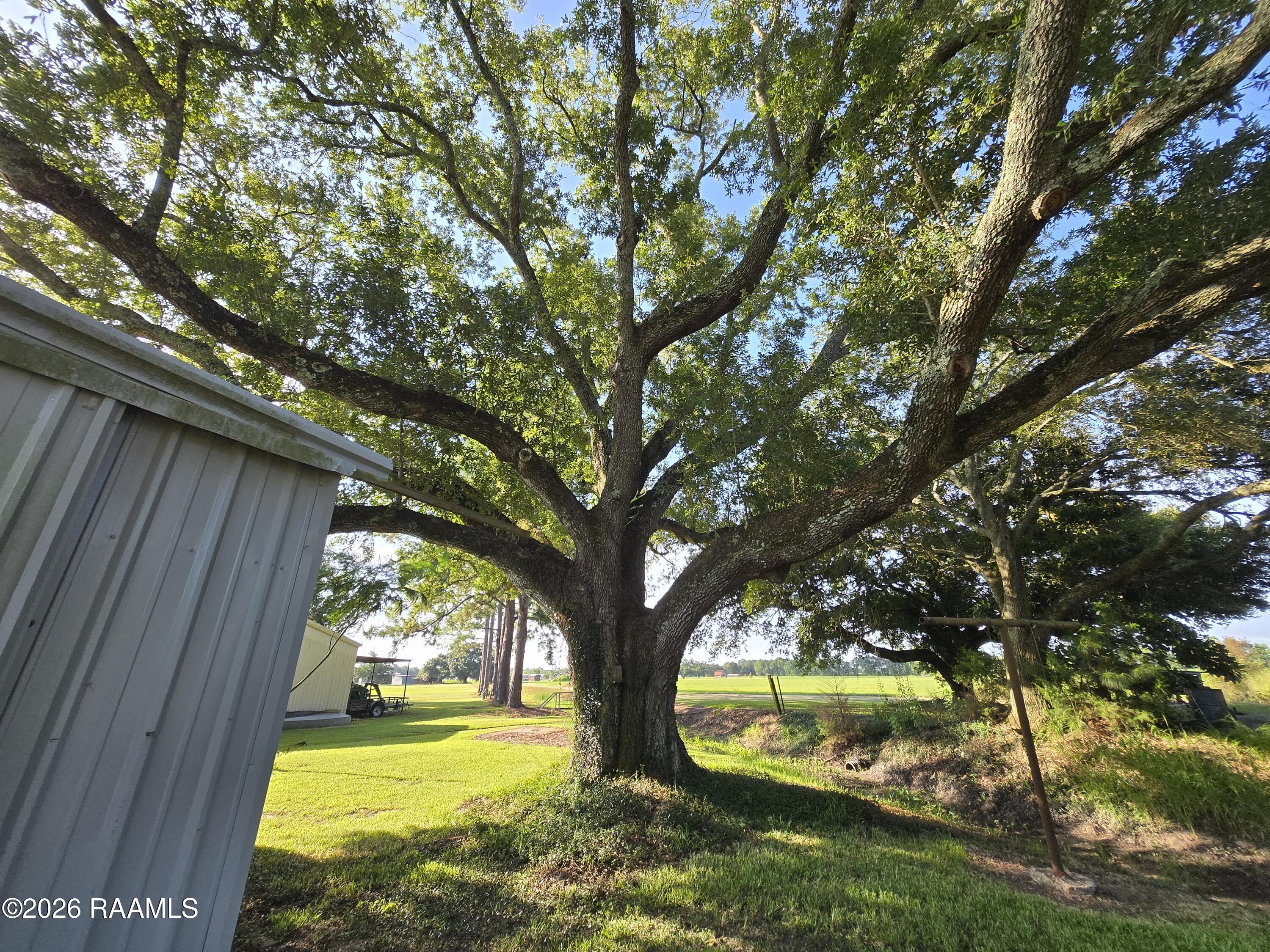 1182 Guidry Road Breaux Bridge, LA 70517 - Photo 11 of 11 1000046032