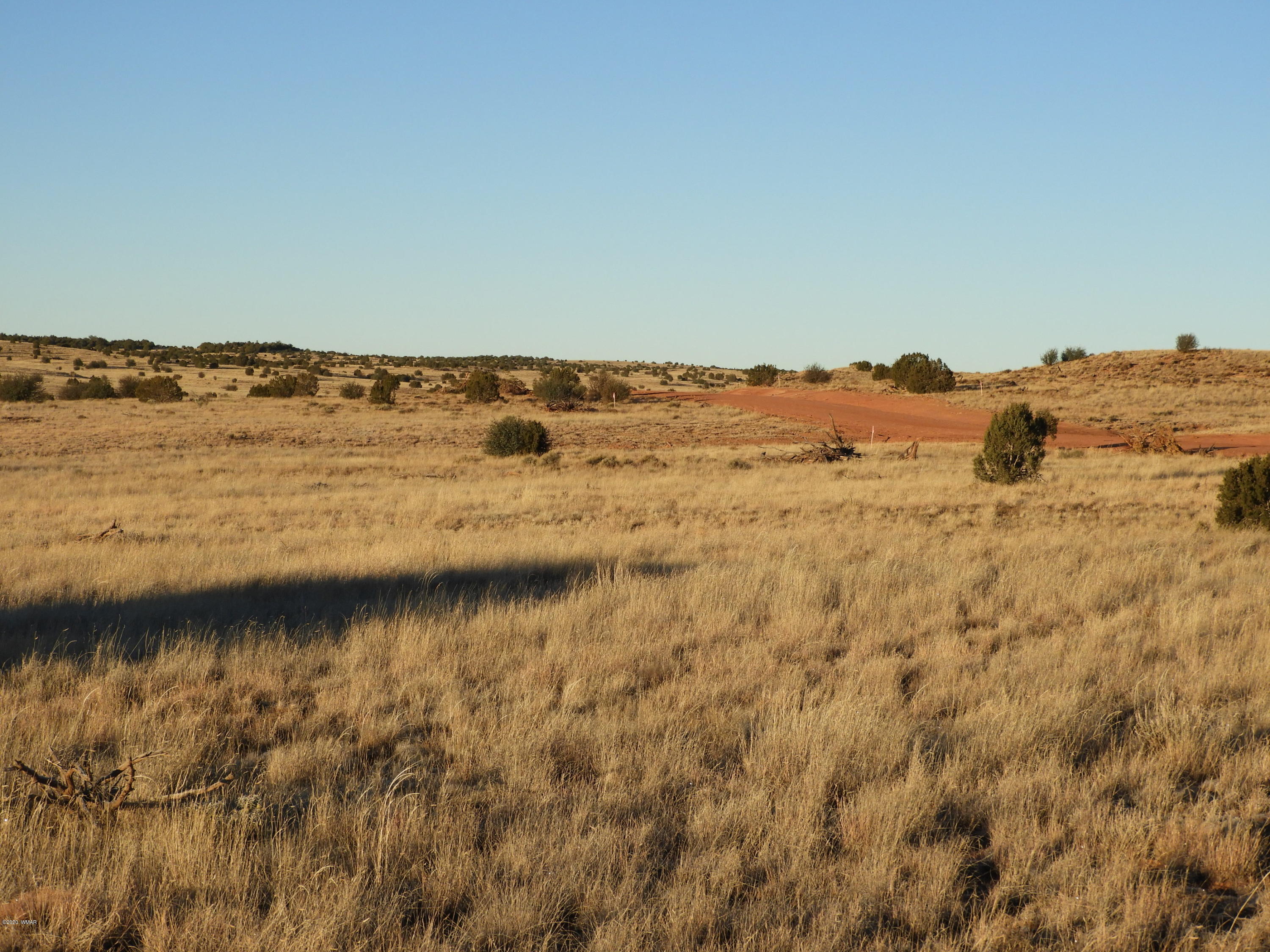 1440 South Hidden Hills Road Taylor, AZ 85939 - Photo 4 of 8