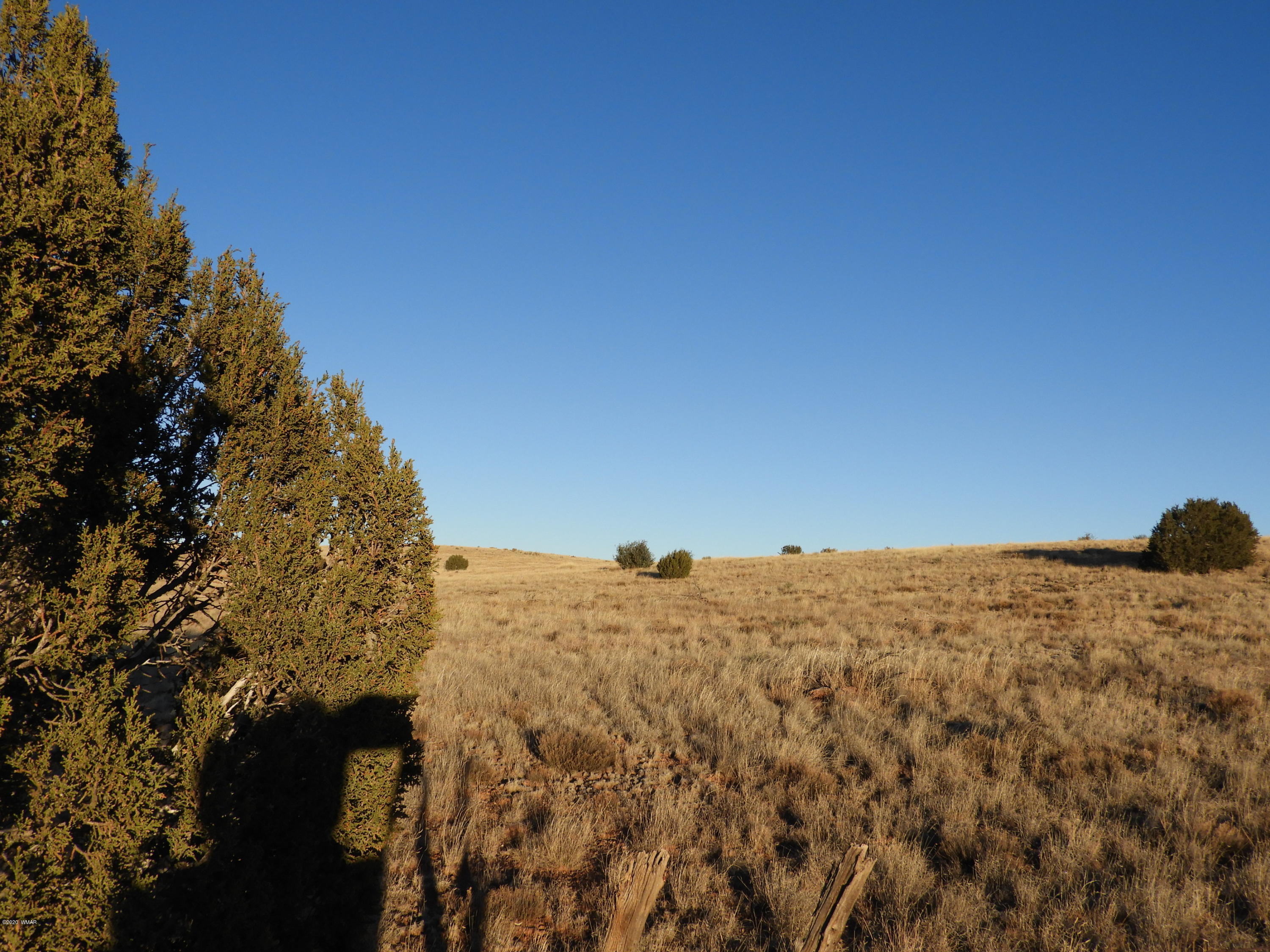 1440 South Hidden Hills Road Taylor, AZ 85939 - Photo 6 of 8