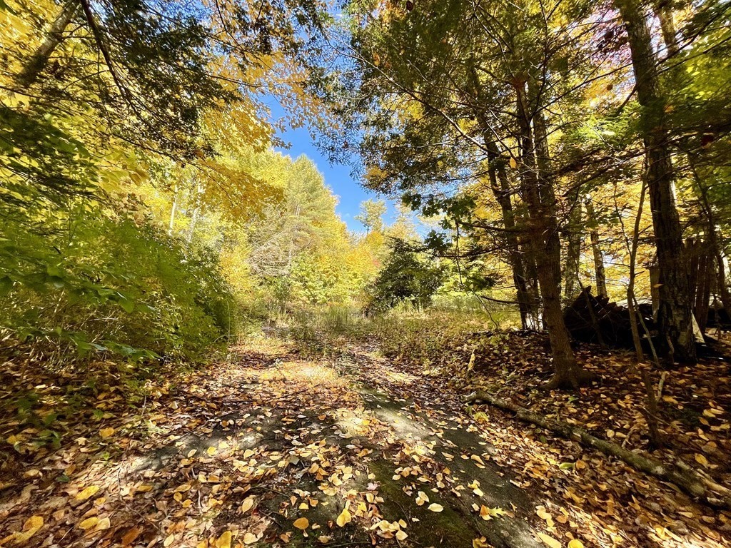 57 Fiskemill Road Shelburne, MA 01370 - Photo 1 of 9 Gallery Image 1