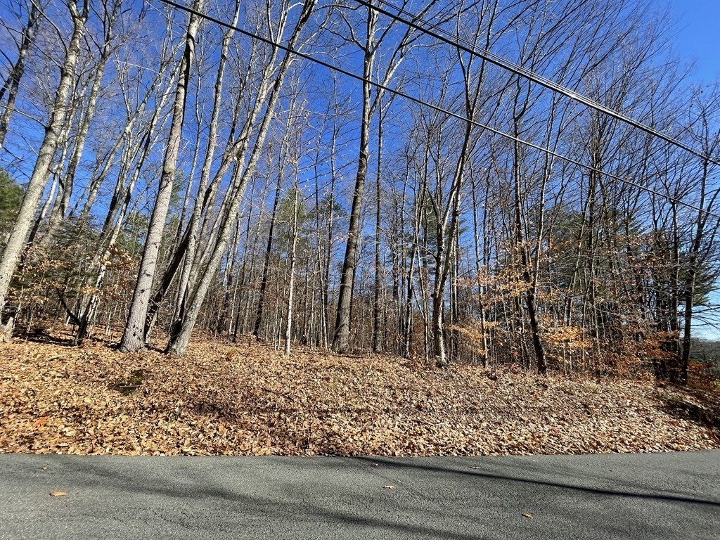 57 Fiskemill Road Shelburne, MA 01370 - Photo 6 of 9 Gallery Image 6