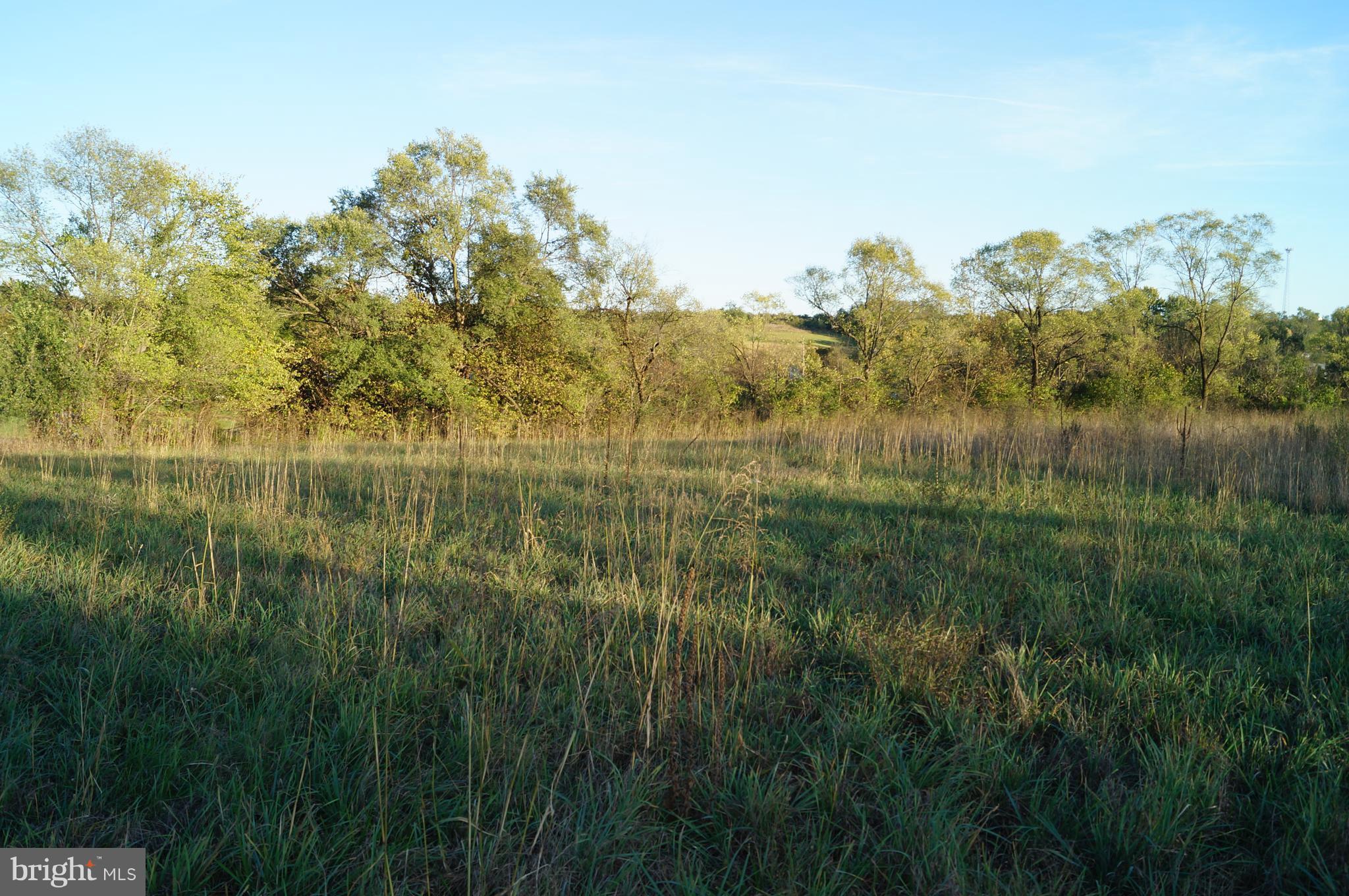 Reunion Corner Road Gerrardstown, WV 25420 - Photo 3 of 10 View