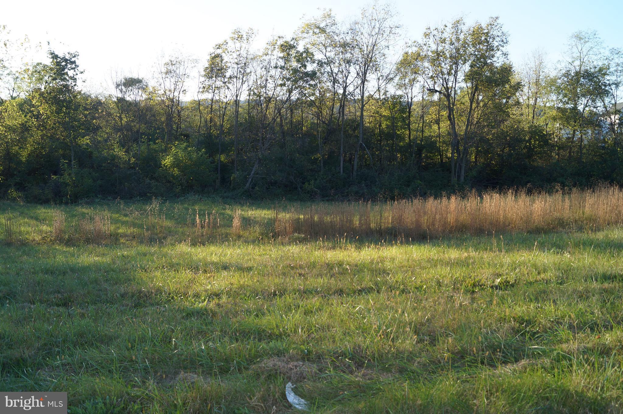 Reunion Corner Road Gerrardstown, WV 25420 - Photo 6 of 10 View