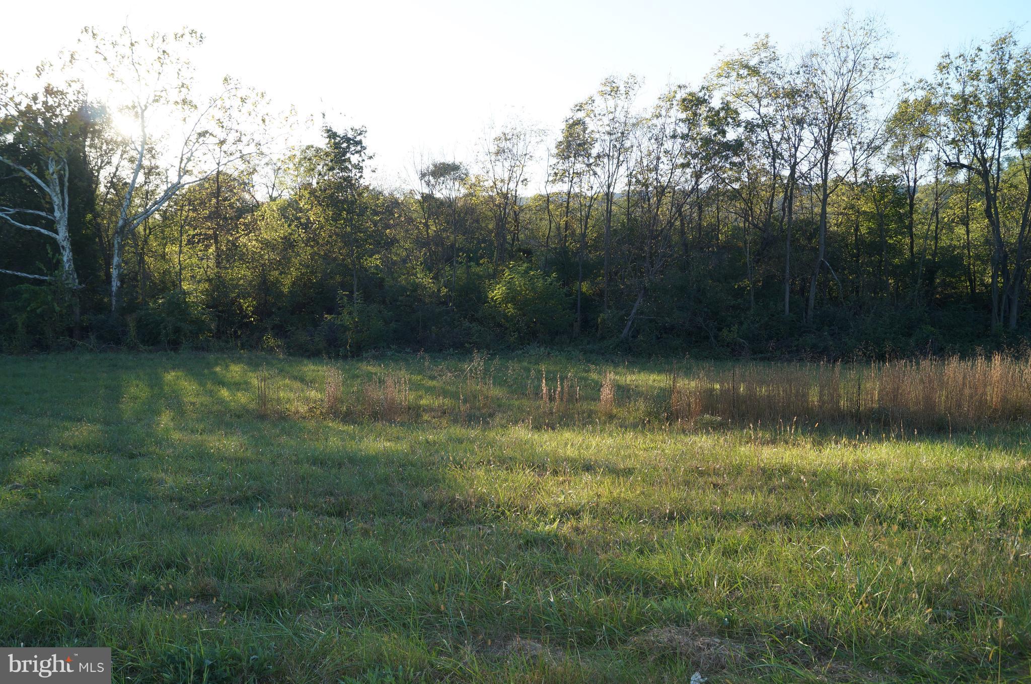 Reunion Corner Road Gerrardstown, WV 25420 - Photo 7 of 10 View