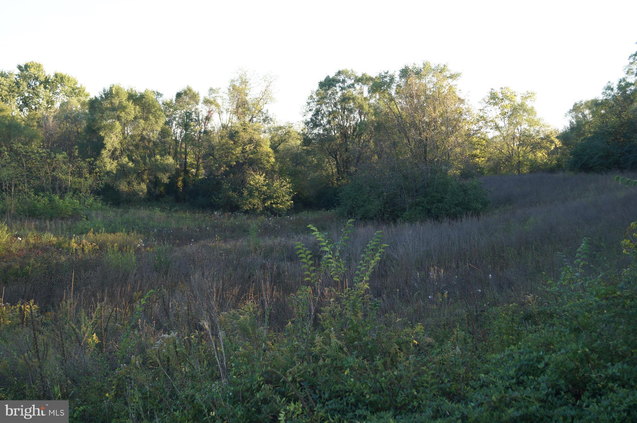 Reunion Corner Road Gerrardstown, WV 25420 - Photo 8 of 10 View