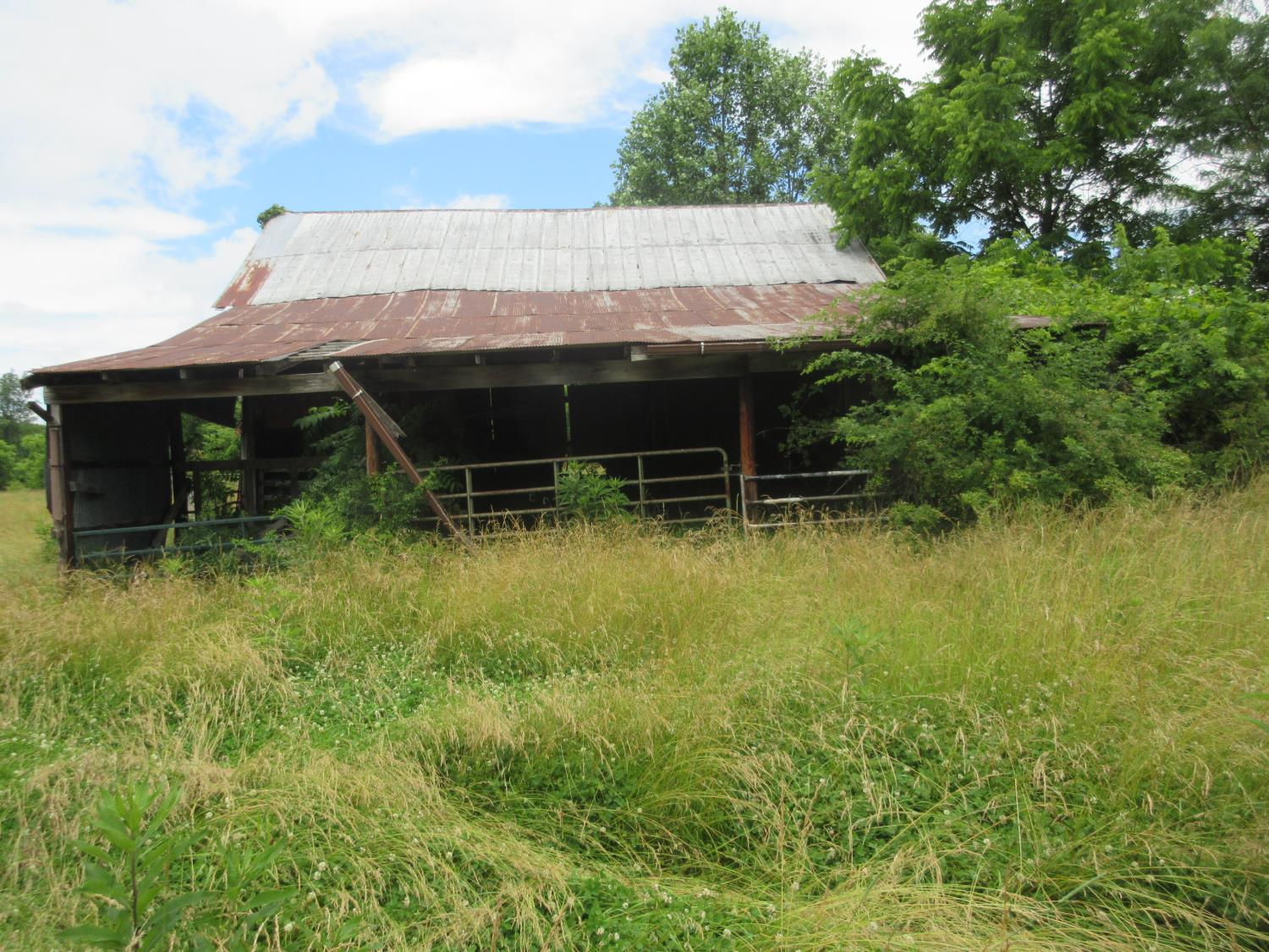 0 Dewitt Road Moores Hill, IN 47032 - Photo 8 of 10