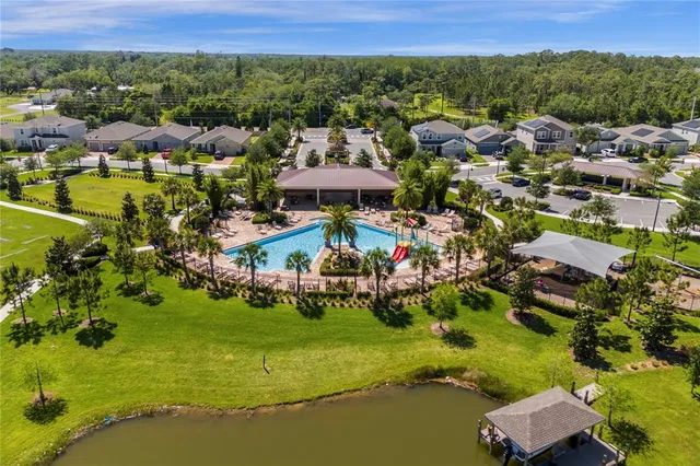 a view of a swimming pool with a garden