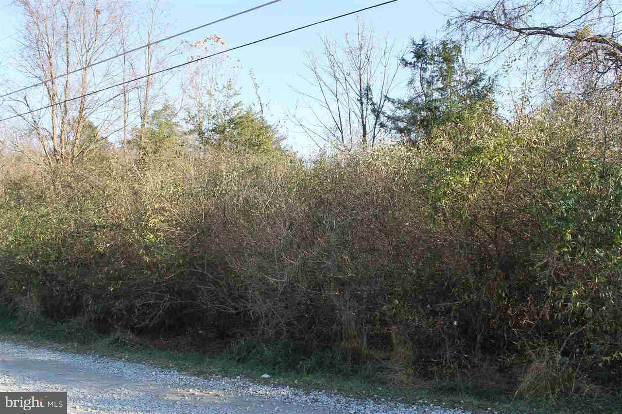 25 Rist Trail, Unit AA41 Fairfield, PA 17320 - Photo 3 of 5 a backyard of a house