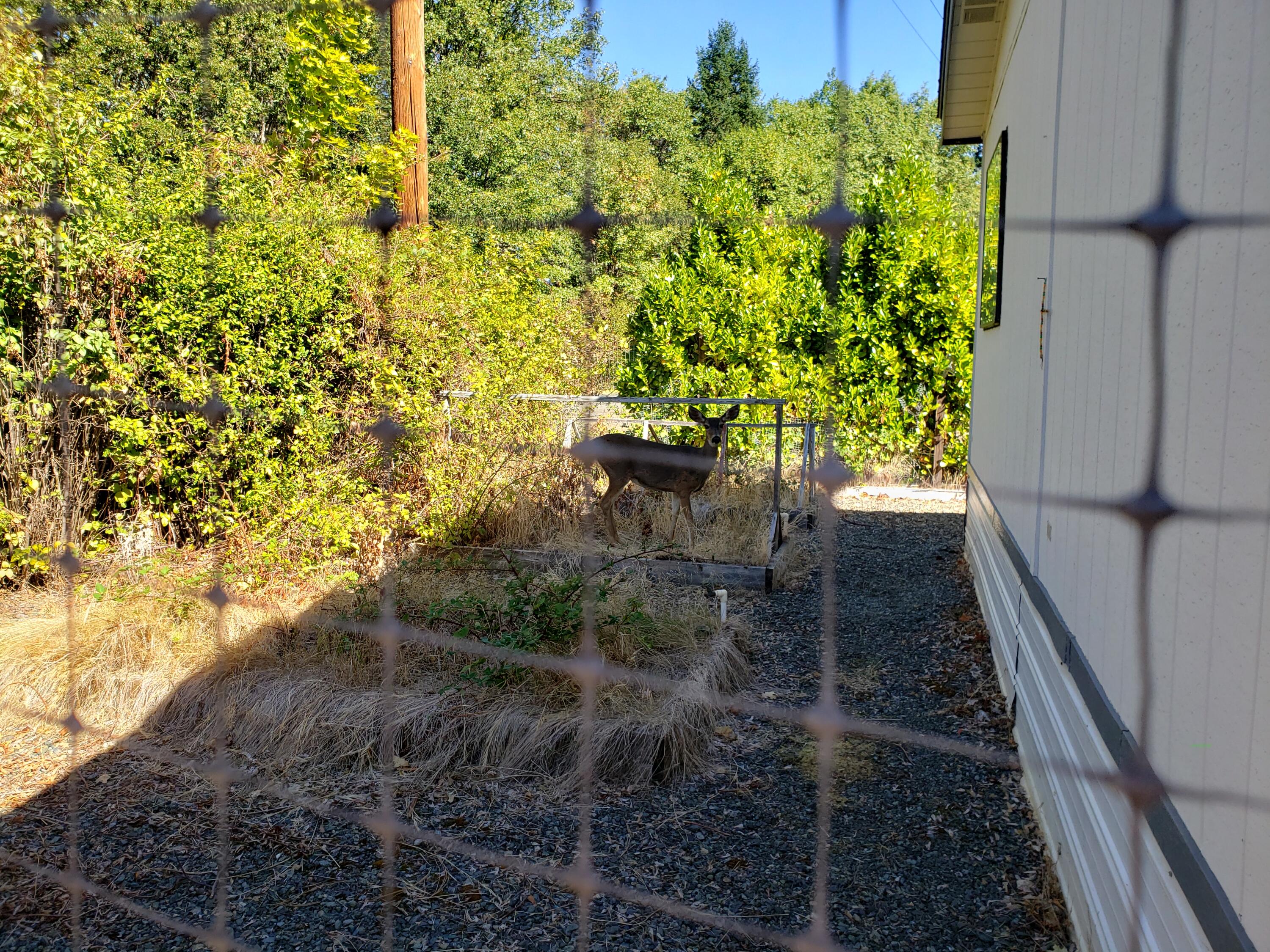 222 Ollis Road, Unit 55 Cave Junction, OR 97523 - Photo 8 of 24 20210923_140125