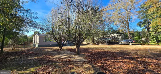 a street view with large trees