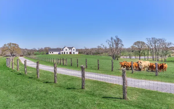 $8,999,999 | 22199 Interstate Highway North, Buffalo, TX 75831