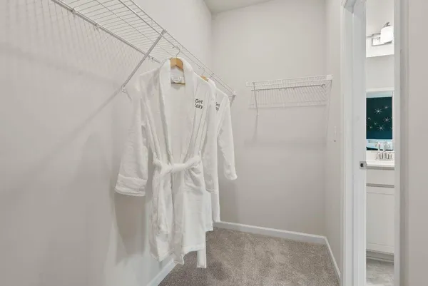 a bathroom with a shower and toilet