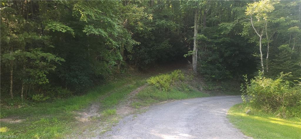 0 Lyons Road Roaring Gap, NC 28668 - Photo 2 of 11 From Lyons Rd, stay straight into the wooded area on the dirt road