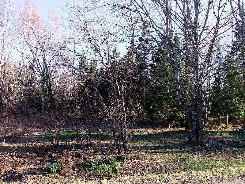 462 Ruth Road Linneus, ME 04730 - Photo 8 of 28 Land.