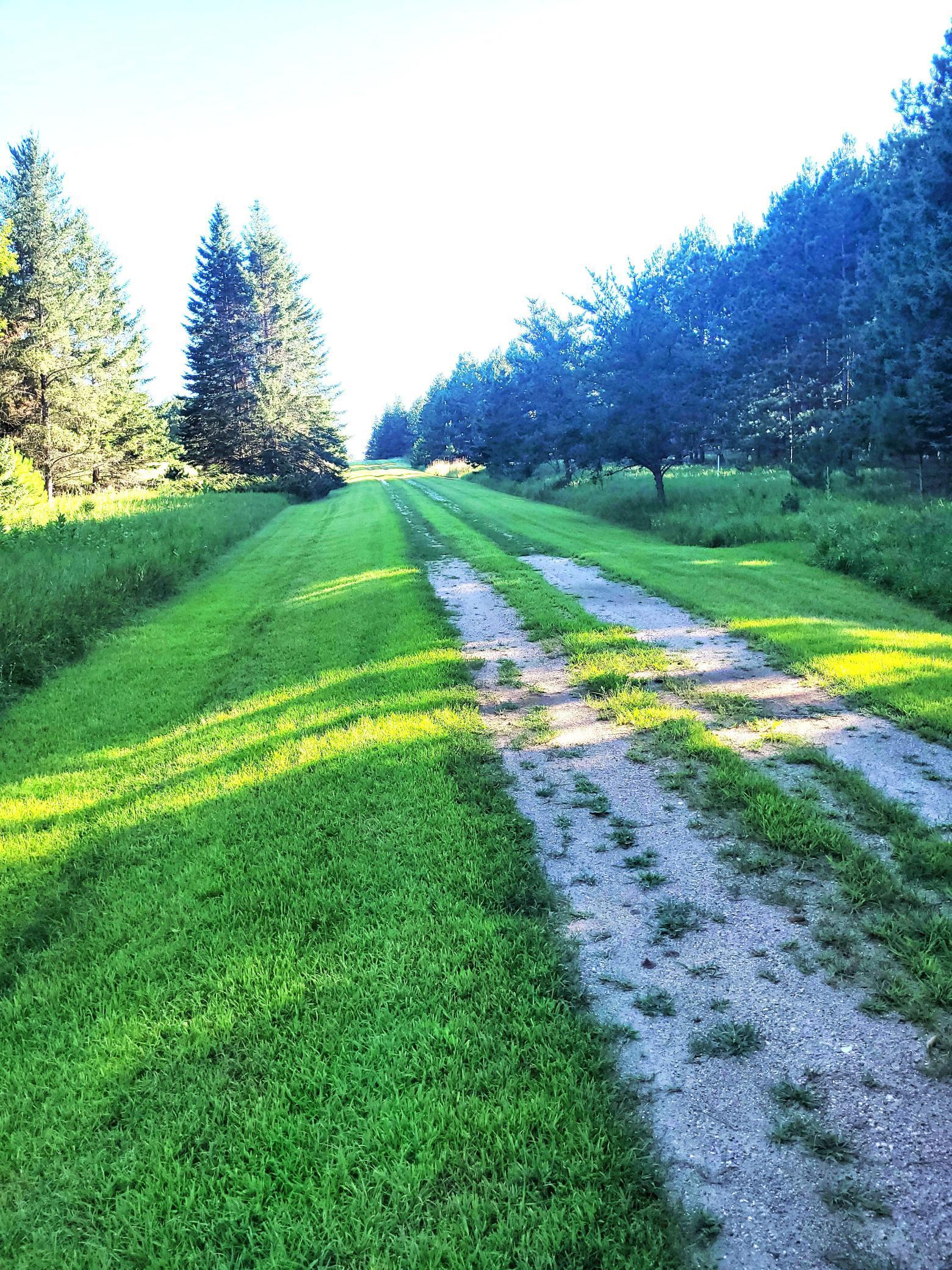 25320 154th Street Staples, MN 56479 - Photo 28 of 28