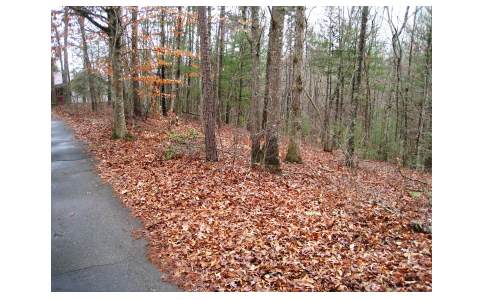Lot 3 Laurel Cove Road Murphy, NC 28906 - Photo 1 of 1 Main View