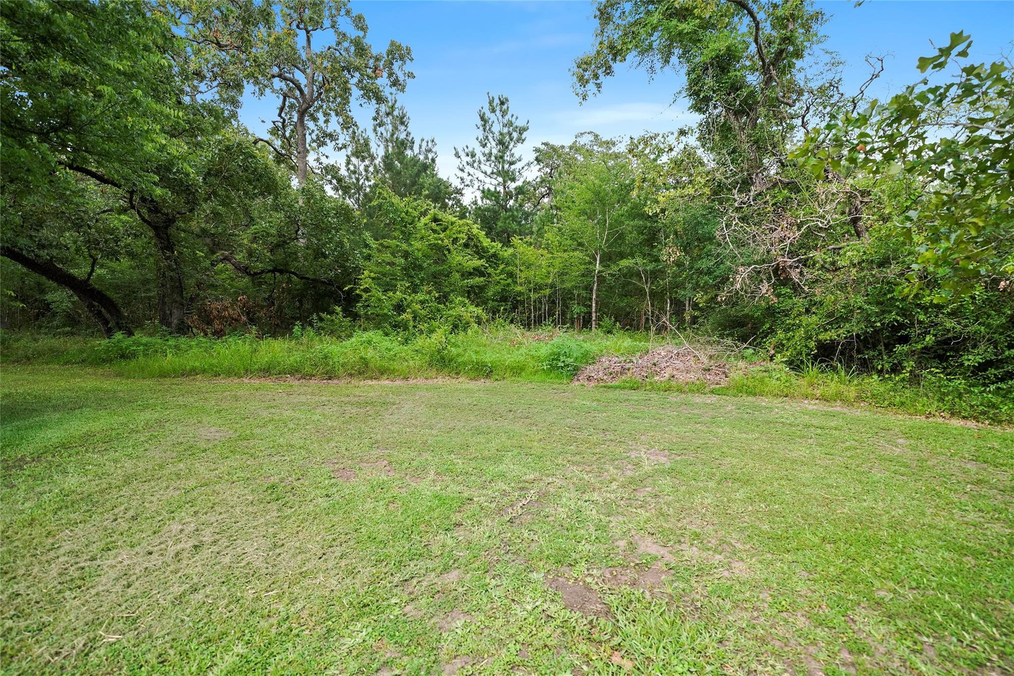109 Didlake Road Huntsville, TX 77340 - Photo 2 of 5 part of the back yard