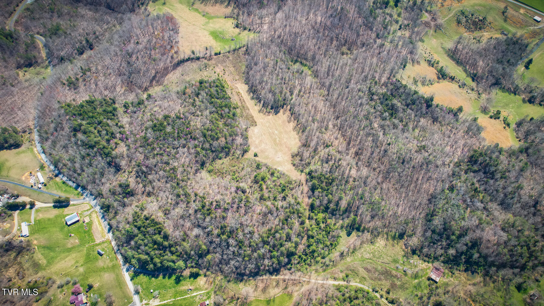 Tbd Ivy Valley Road Gate City, VA 24251 - Photo 8 of 12 20230331160056346533000000-o